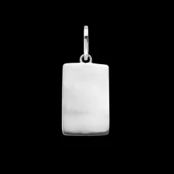 Ketting^Rebel & Rose Necklace & Pendant - Necklace Rope Silver 925 - 2mm with Pendant Tag |